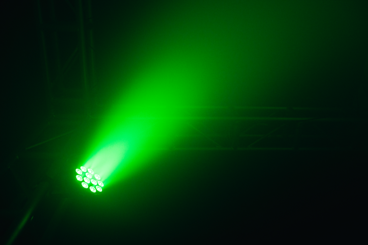 Event Lighting Lite Parcan PAR12X12L