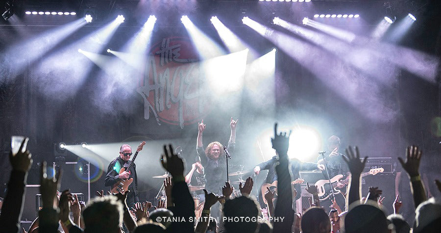 The Angels & Baby Animals Perform at Toronto Hotel with Value Audio