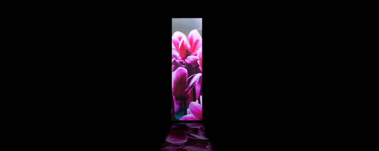 Event Pixels VD2.5PI LED Advertising Screen