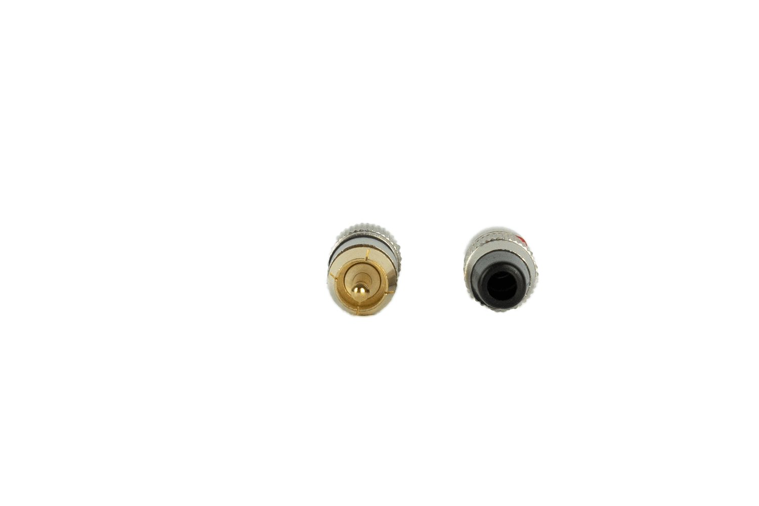 Event Audio RCA2M - Pair of RCa Male Plugs, Red and Black top view